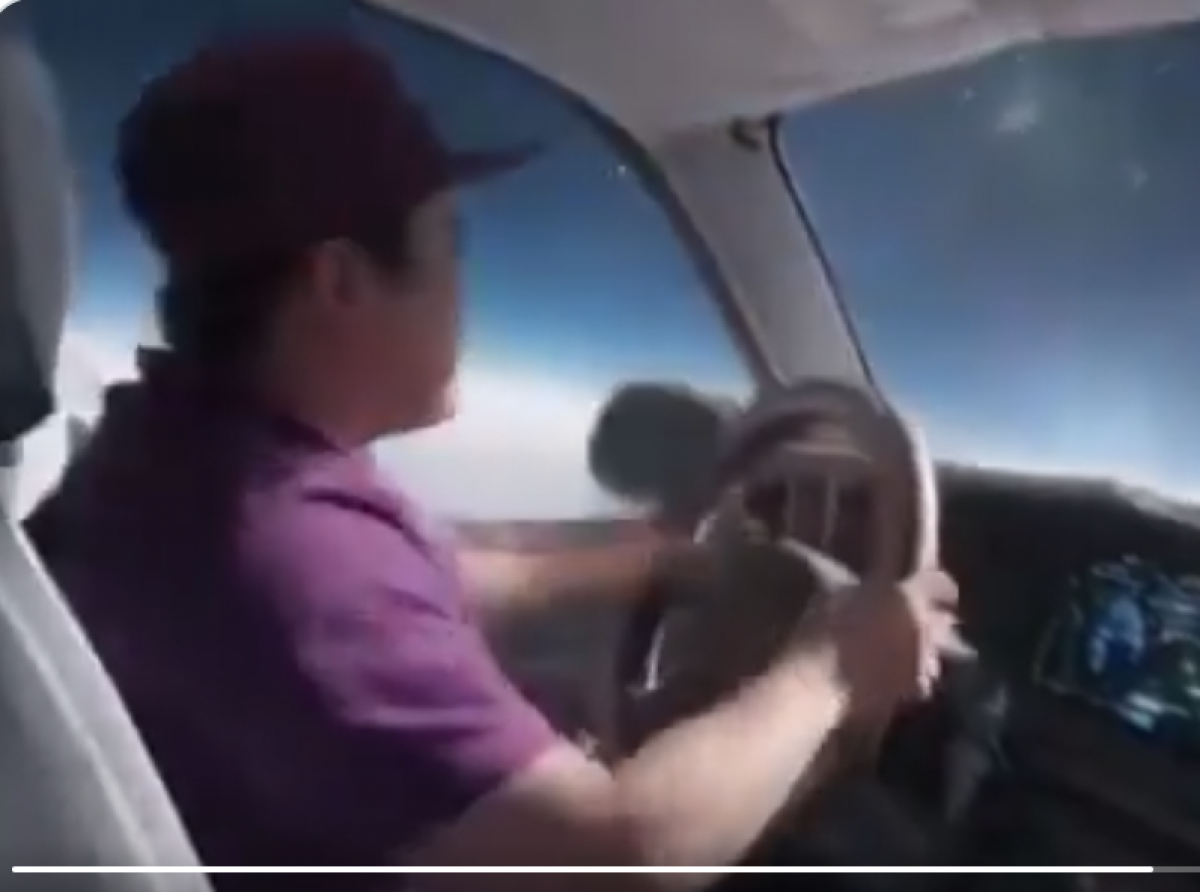 El Pirata Viene Por Ellos